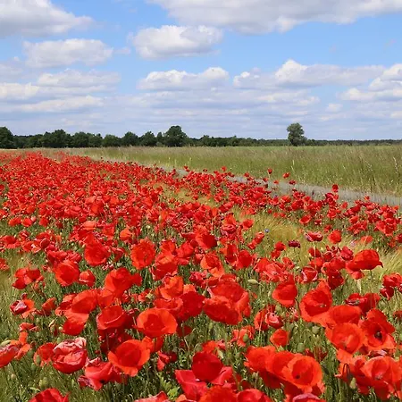 Apartment Am Hohennauener Wassersuppe
