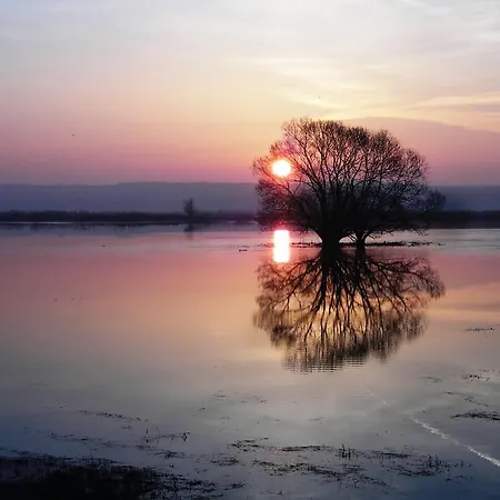Am Hohennauener * Wassersuppe