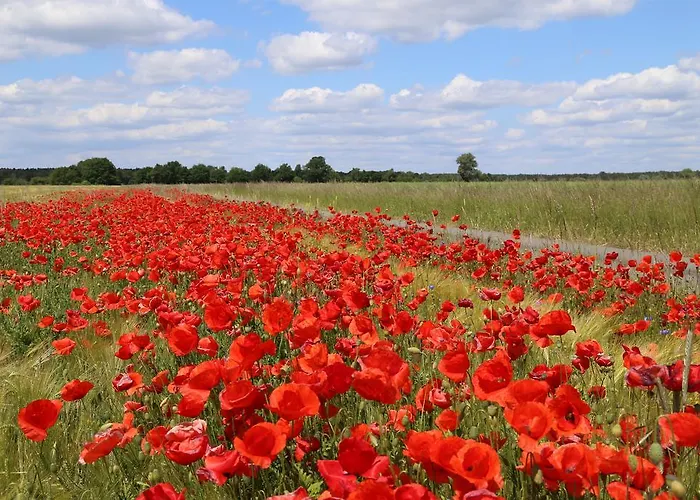Apartamento Am Hohennauener Wassersuppe