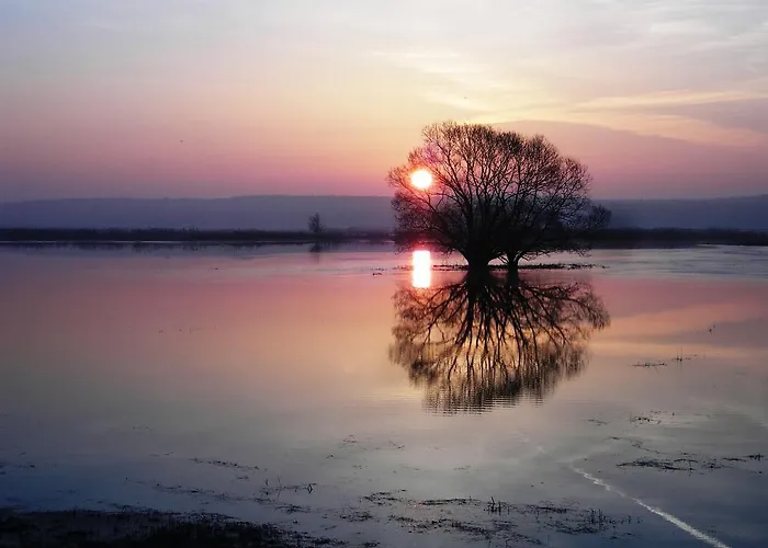 Am Hohennauener * Wassersuppe